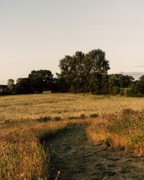 Priscilla Bacon Lodge Gardens